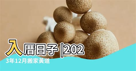 2023搬家入宅吉日